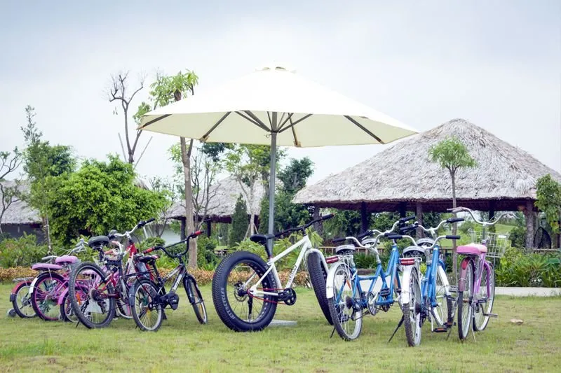 Xe đạp cho khách dạo quanh tại Công viên Thiên Đức