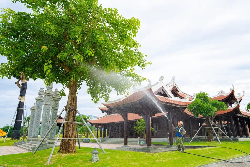 Cây Bồ Đề trước cổng Chùa Báo Ân, Công viên Thiên Đường